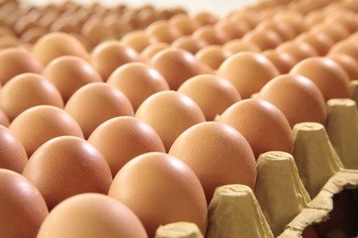 佳木斯鸡蛋检测价格,鸡蛋检测机构,鸡蛋检测项目,鸡蛋常规检测